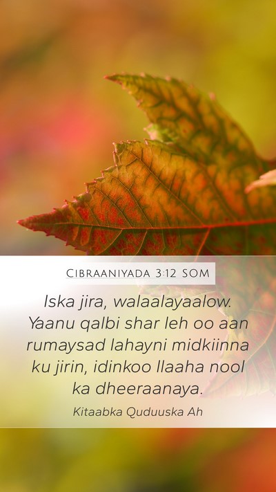 Cibraaniyada 3:12 SOM Bible Verse Image