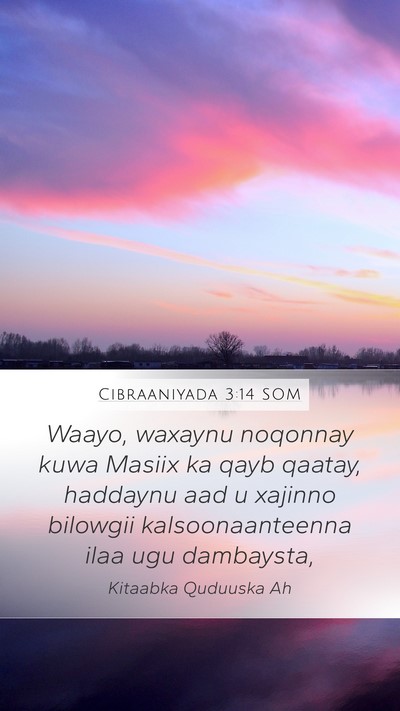 Cibraaniyada 3:14 SOM Bible Verse Image