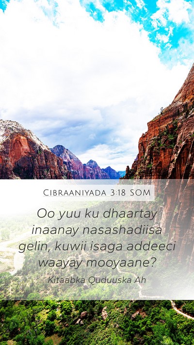Cibraaniyada 3:18 SOM Bible Verse Image