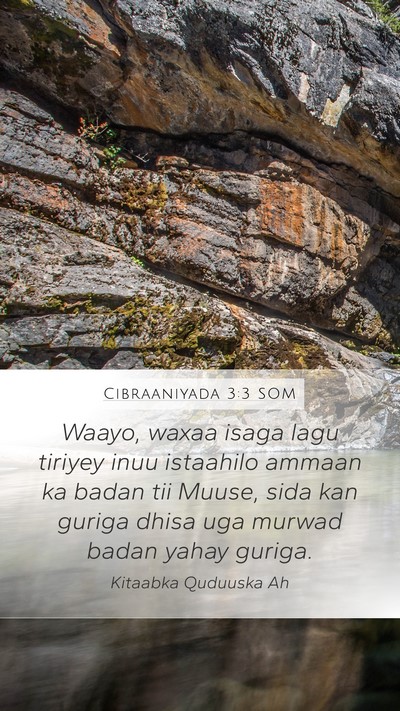 Cibraaniyada 3:3 SOM Bible Verse Image
