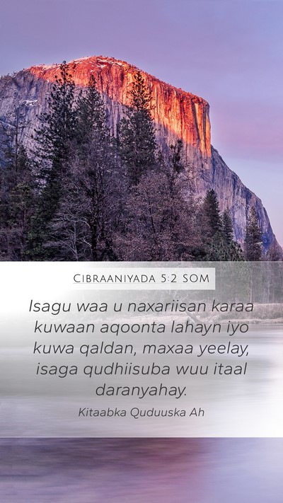 Cibraaniyada 5:2 SOM Bible Verse Image