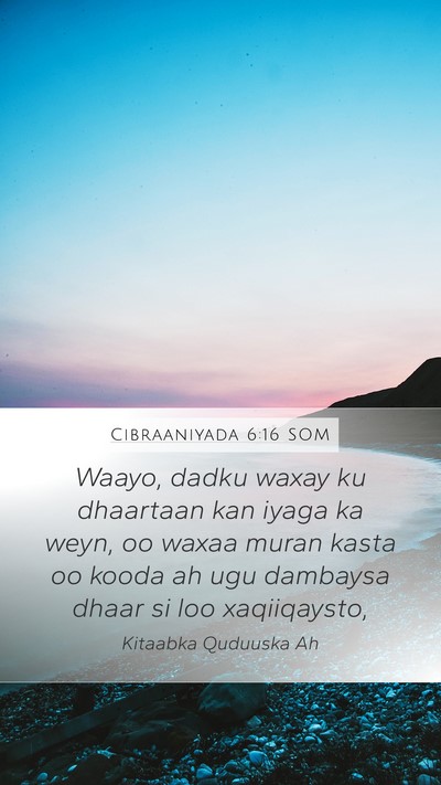 Cibraaniyada 6:16 SOM Bible Verse Image