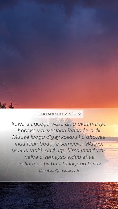 Cibraaniyada 8:5 SOM Bible Verse Image