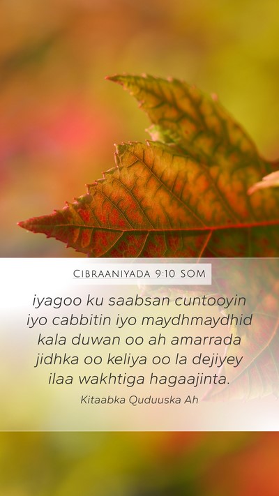 Cibraaniyada 9:10 SOM Bible Verse Image