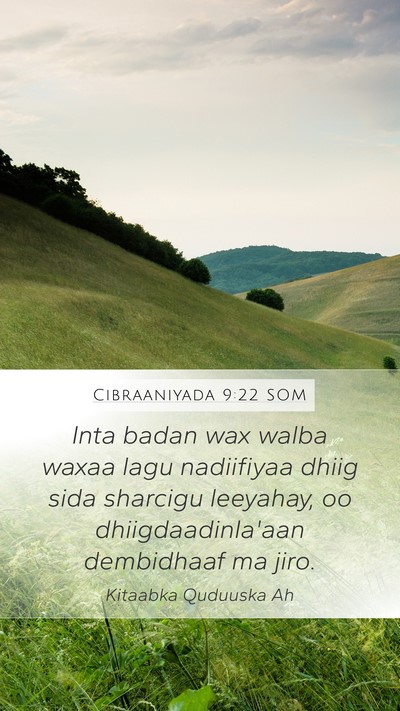Cibraaniyada 9:22 SOM Bible Verse Image
