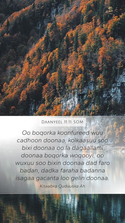 Daanyeel 11:11 SOM Mobile Phone Wallpaper - Oo boqorka koonfureed wuu cadhoon doonaa, - Mobile Bible Verse Wallpaper