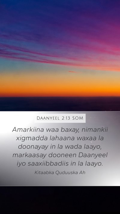 Daanyeel 2:13 SOM Mobile Phone Wallpaper - Amarkiina waa baxay, nimankii xigmadda lahaana - Mobile Bible Verse Wallpaper