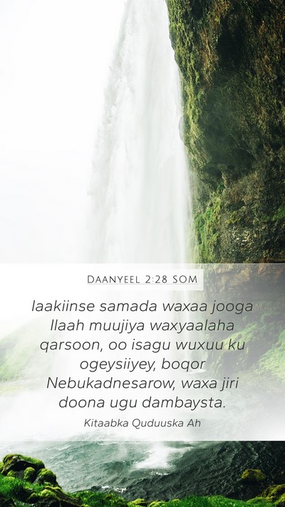 Daanyeel 2:28 SOM Bible Verse Image