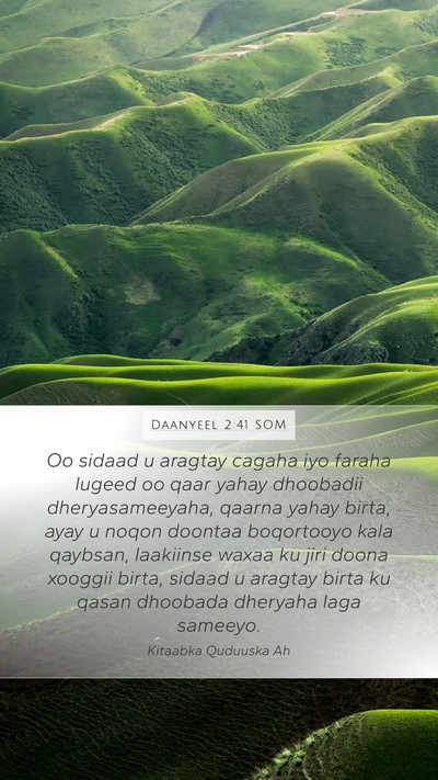Daanyeel 2:41 SOM Mobile Phone Wallpaper - Oo sidaad u aragtay cagaha iyo faraha lugeed oo - Mobile Bible Verse Wallpaper