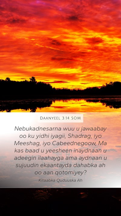 Daanyeel 3:14 SOM Mobile Phone Wallpaper - Nebukadnesarna wuu u jawaabay oo ku yidhi iyagii, - Mobile Bible Verse Wallpaper