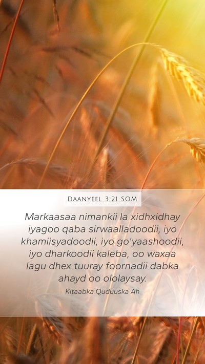 Daanyeel 3:21 SOM Bible Verse Image