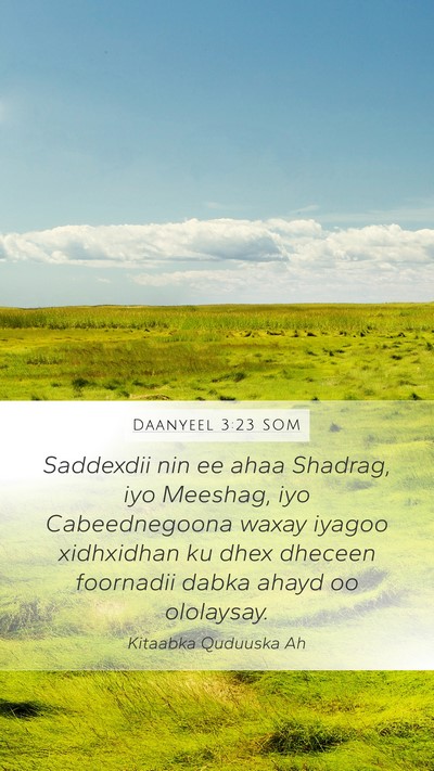 Daanyeel 3:23 SOM Bible Verse Image