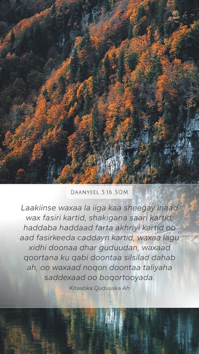 Daanyeel 5:16 SOM Bible Verse Image