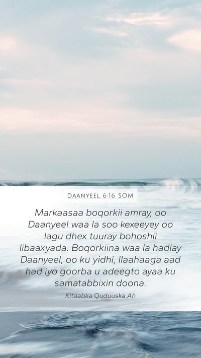 Daanyeel 6:16 SOM Bible Verse Image