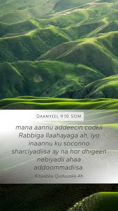 Daanyeel 9:10 SOM Mobile Phone Wallpaper - mana aannu addeecin codkii Rabbiga Ilaahayaga ah, - Mobile Bible Verse Wallpaper