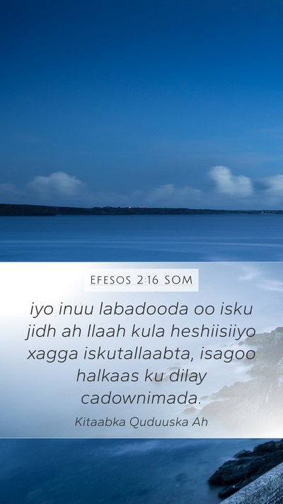 Efesos 2:16 SOM Bible Verse Image
