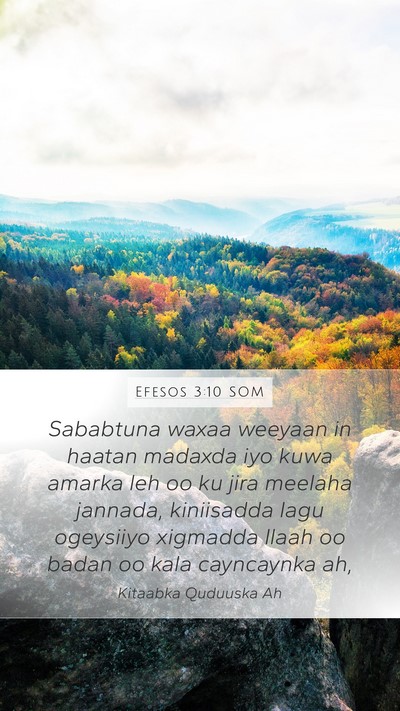 Efesos 3:10 SOM Bible Verse Image