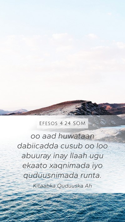 Efesos 4:24 SOM Bible Verse Image