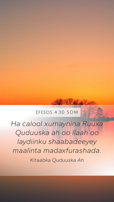 Efesos 4:30 SOM Bible Verse Image