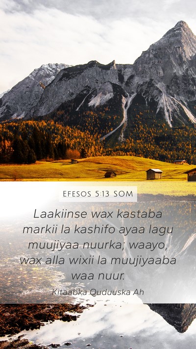Efesos 5:13 SOM Bible Verse Image