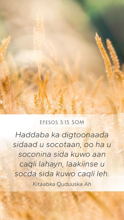 Efesos 5:15 SOM Bible Verse Image