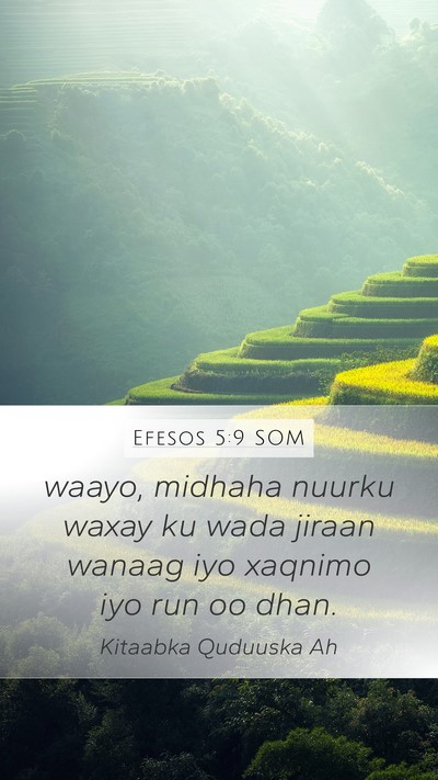 Efesos 5:9 SOM Bible Verse Image