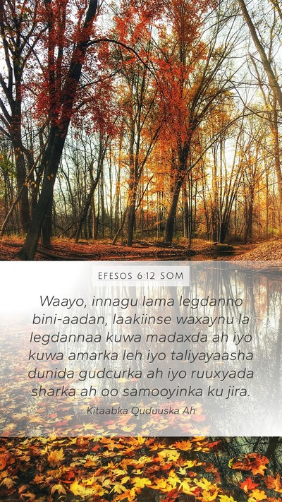 Efesos 6:12 SOM Bible Verse Image