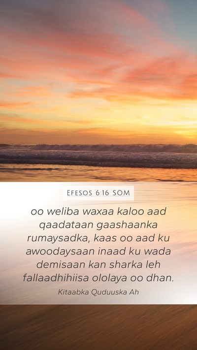 Efesos 6:16 SOM Bible Verse Image