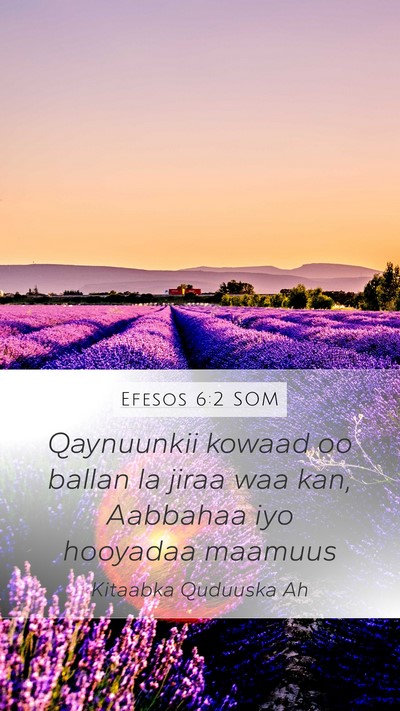 Efesos 6:2 SOM Mobile Phone Wallpaper - Qaynuunkii kowaad oo ballan la jiraa waa kan, - Mobile Bible Verse Wallpaper