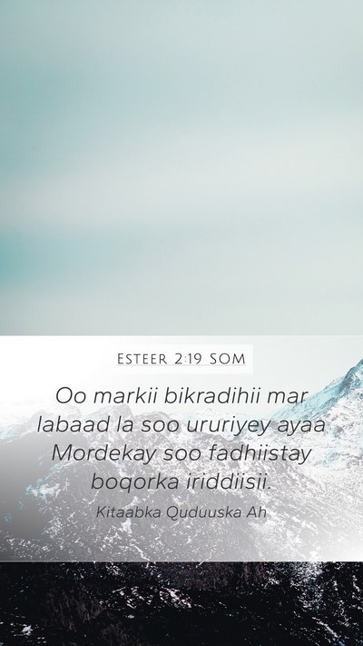 Esteer 2:19 SOM Bible Verse Image