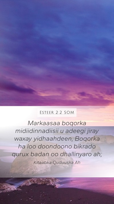 Esteer 2:2 SOM Bible Verse Image