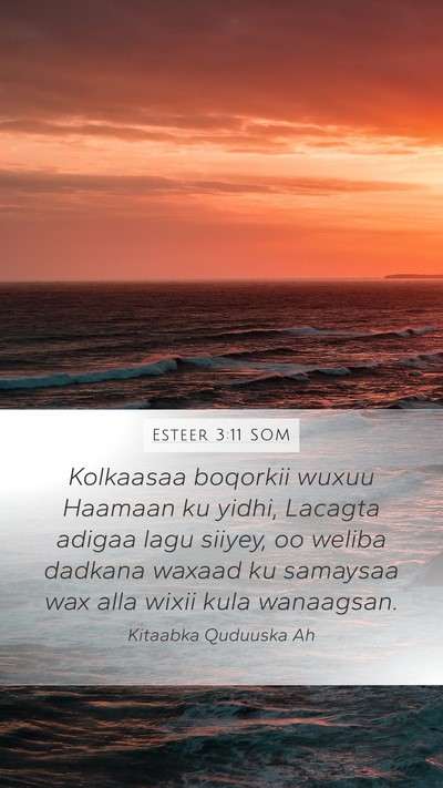 Esteer 3:11 SOM Mobile Phone Wallpaper - Kolkaasaa boqorkii wuxuu Haamaan ku yidhi, - Mobile Bible Verse Wallpaper
