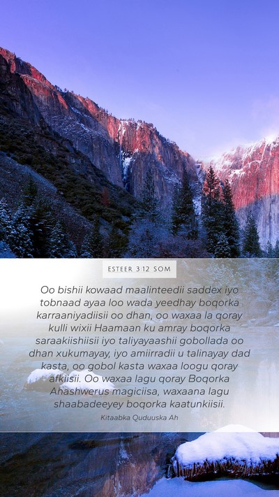 Esteer 3:12 SOM Bible Verse Image