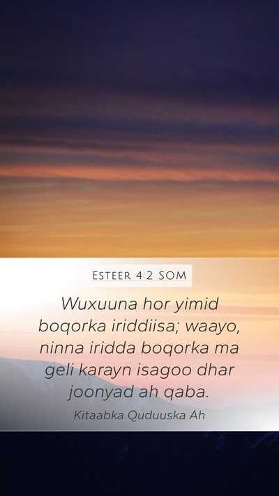 Esteer 4:2 SOM Bible Verse Image