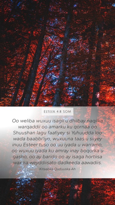 Esteer 4:8 SOM Bible Verse Image