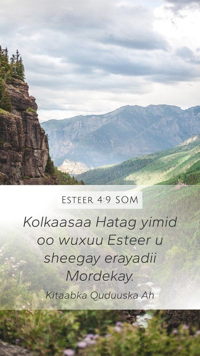 Esteer 4:9 SOM Mobile Phone Wallpaper - Kolkaasaa Hatag yimid oo wuxuu Esteer u sheegay - Mobile Bible Verse Wallpaper