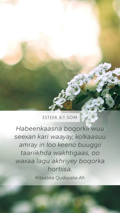 Esteer 6:1 SOM Bible Verse Image