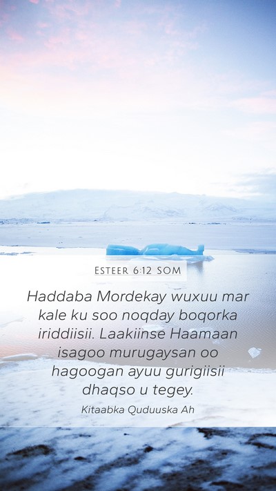 Esteer 6:12 SOM Bible Verse Image