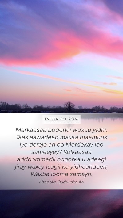 Esteer 6:3 SOM Mobile Phone Wallpaper - Markaasaa boqorkii wuxuu yidhi, Taas aawadeed - Mobile Bible Verse Wallpaper
