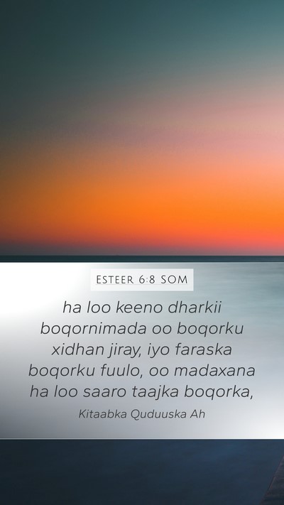 Esteer 6:8 SOM Bible Verse Image