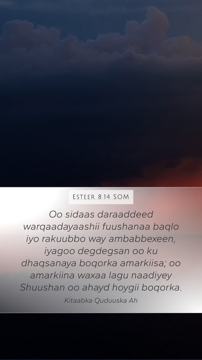 Esteer 8:14 SOM Bible Verse Image
