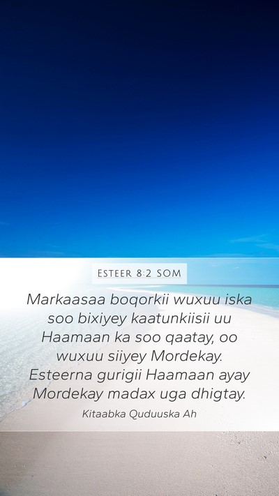 Esteer 8:2 SOM Bible Verse Image