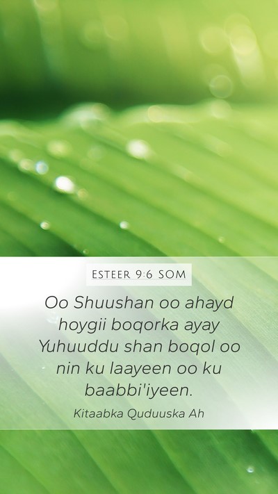 Esteer 9:6 SOM Mobile Phone Wallpaper - Oo Shuushan oo ahayd hoygii boqorka ayay Yuhuuddu - Mobile Bible Verse Wallpaper