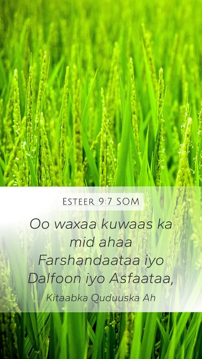 Esteer 9:7 SOM Mobile Phone Wallpaper - Oo waxaa kuwaas ka mid ahaa Farshandaataa iyo - Mobile Bible Verse Wallpaper