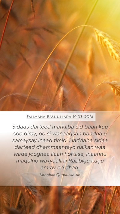 Falimaha Rasuullada 10:33 SOM Bible Verse Image
