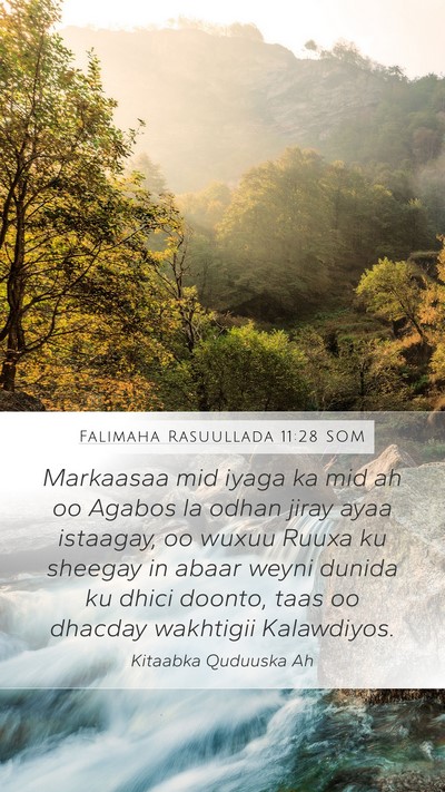 Falimaha Rasuullada 11:28 SOM Bible Verse Image
