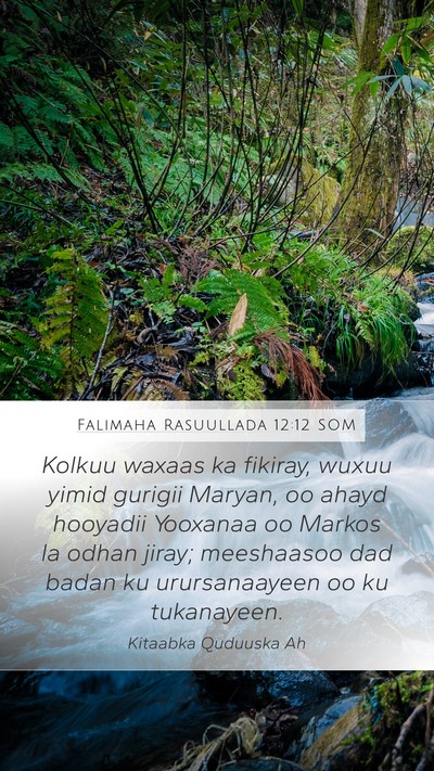 Falimaha Rasuullada 12:12 SOM Bible Verse Image