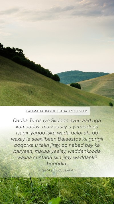 Falimaha Rasuullada 12:20 SOM Bible Verse Image