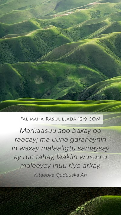 Falimaha Rasuullada 12:9 SOM Mobile Phone Wallpaper - Markaasuu soo baxay oo raacay; ma uuna garanaynin - Mobile Bible Verse Wallpaper