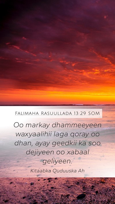Falimaha Rasuullada 13:29 SOM Bible Verse Image